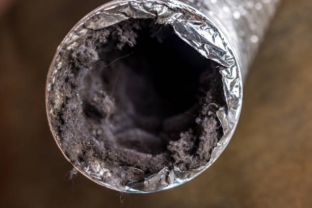 Best General Air Duct Cleaning  in Preston, IA